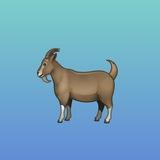 GoatBets Bookies