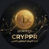 أخبار الكريبتو | البيتكوين بالعربي