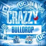 Crazzy bull