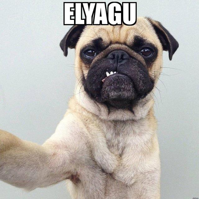 Elyagu