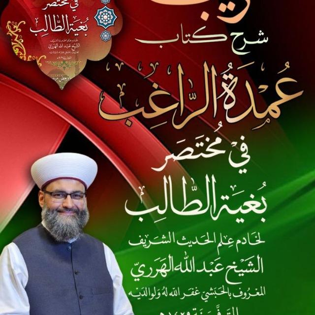 شرح كتاب عمدة الراغب- الشيخ جيل