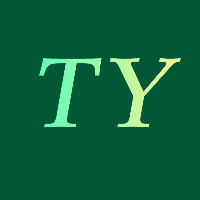 TY-Group Brazilian online slot machine platform!