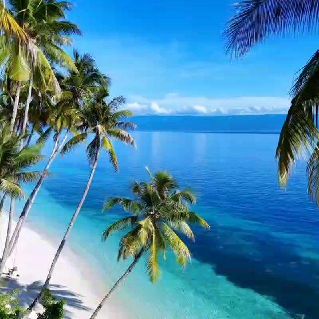 🌴Nature!🍁