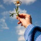 ^♥︎"د هـیلو څرک"♥︎^