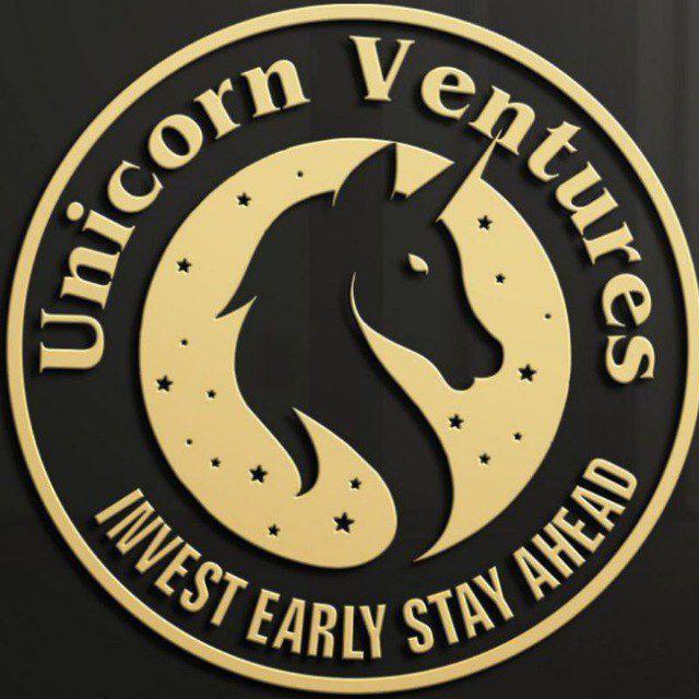 Unicorn Ventures Chat
