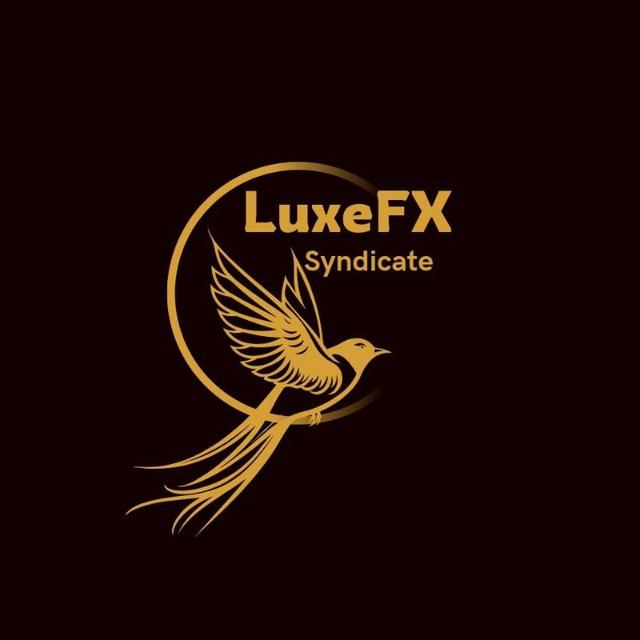 Luxefx syndicate