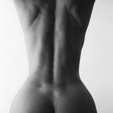 Linartica