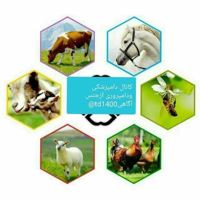دامپزشکی و دامپروری از جنس آگاهی