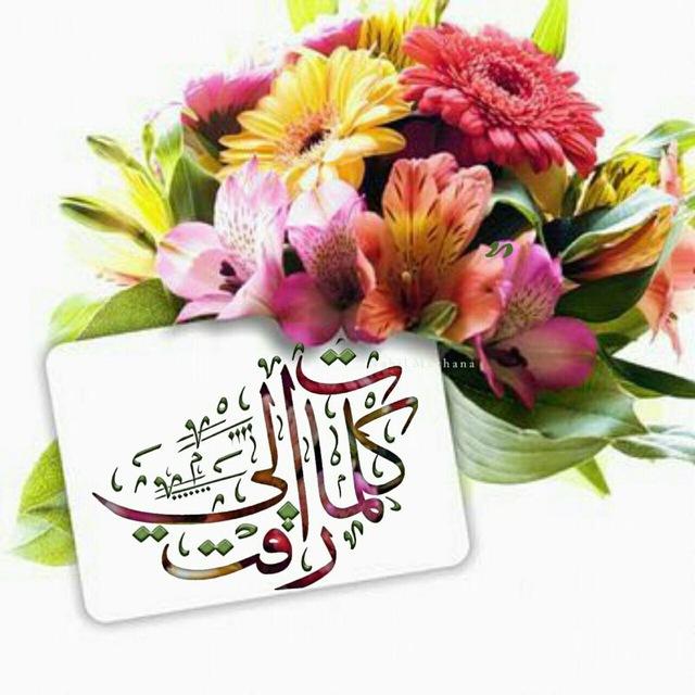 كـلــمـات راقــت لــي 🌷