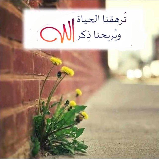 أمل محمد الحميضي