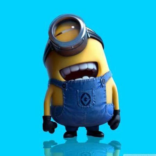 Maloosak_Joke