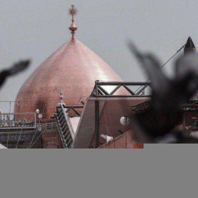 قَصائِد