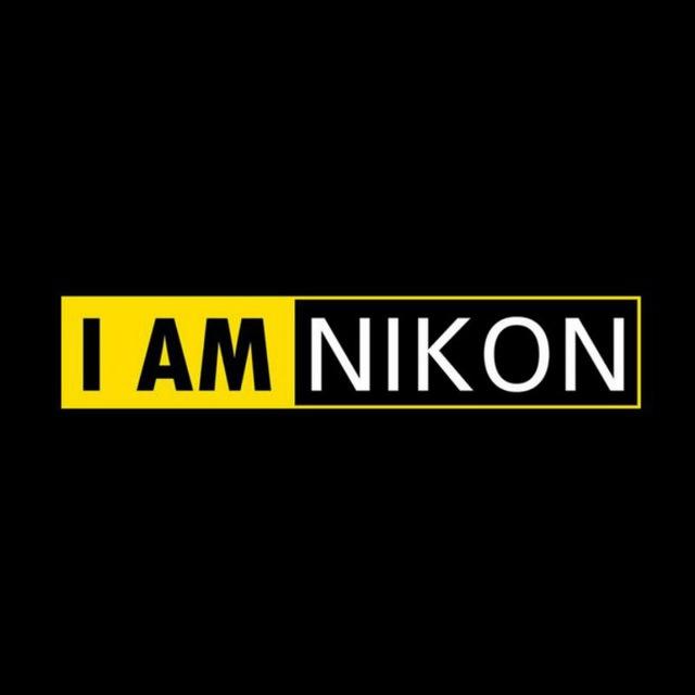 Nikon Cameras / Photography