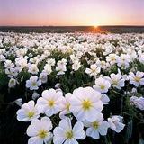 همه چیز خوب
