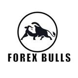 Forex Bulls Academy( Vidollarug)