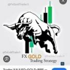 🌈FX Market Killer