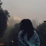 توث‌ فرنگی