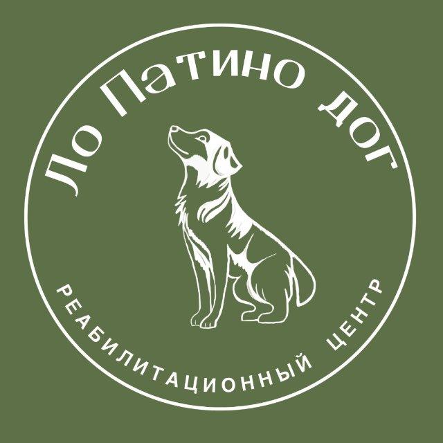 Ло Патино дог