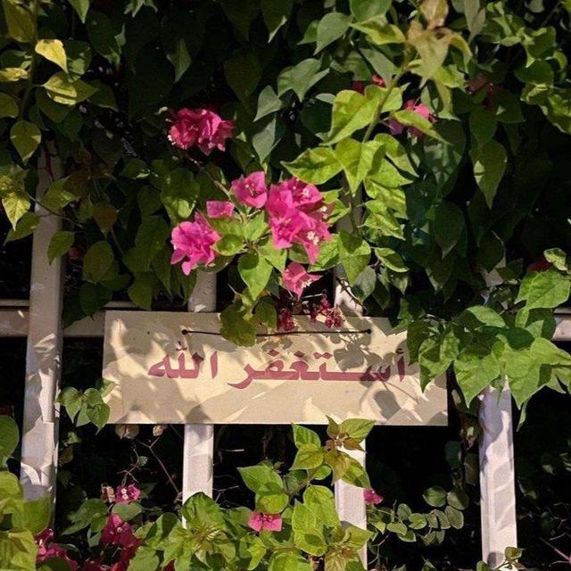 الطريق إلى الجنه .
