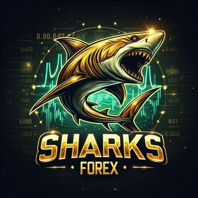Sharks Forex