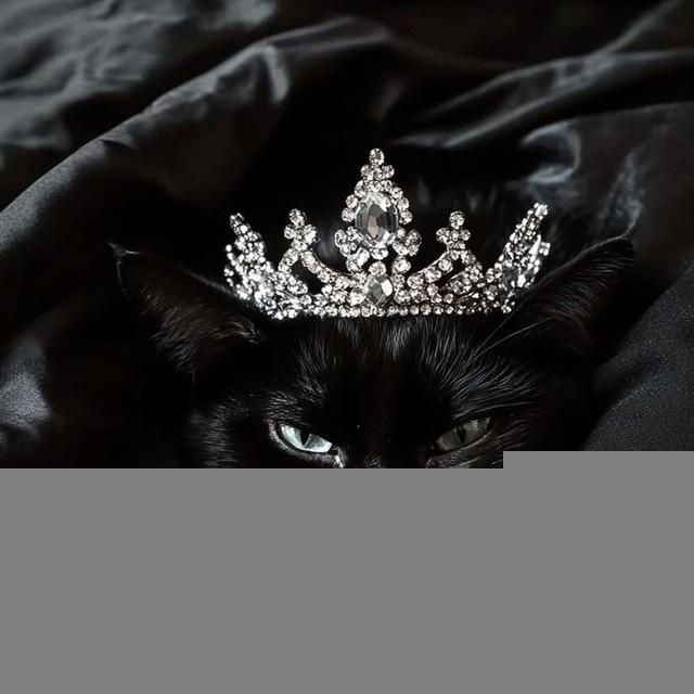 кошкин дом🖤