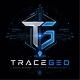 TraceGeo - AI