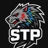 ⚡️Sigma Trader Poul (STP)
