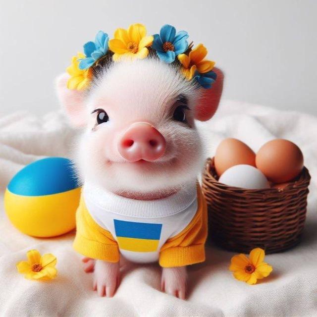 смишнявка🌹