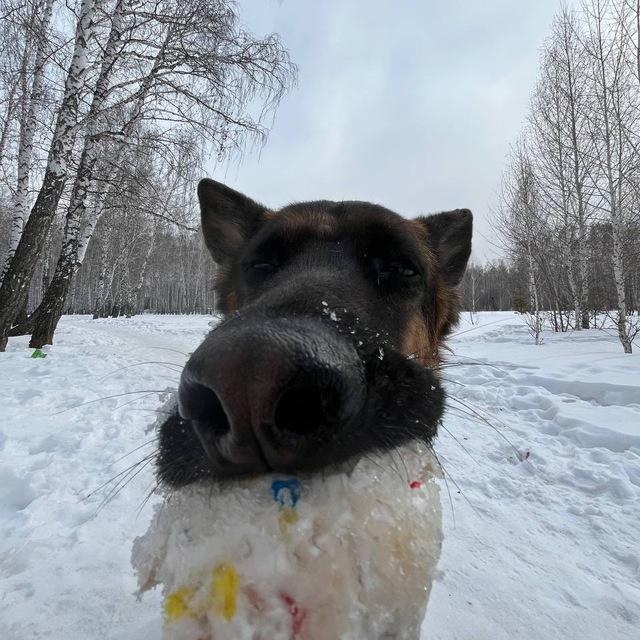Идеи для озвучек 💓