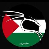 pro_linux09