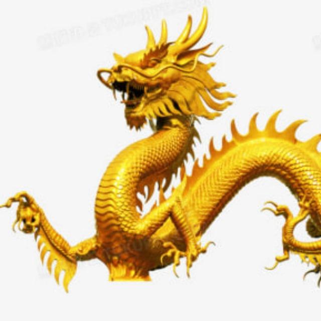龙龙出海数据筛选