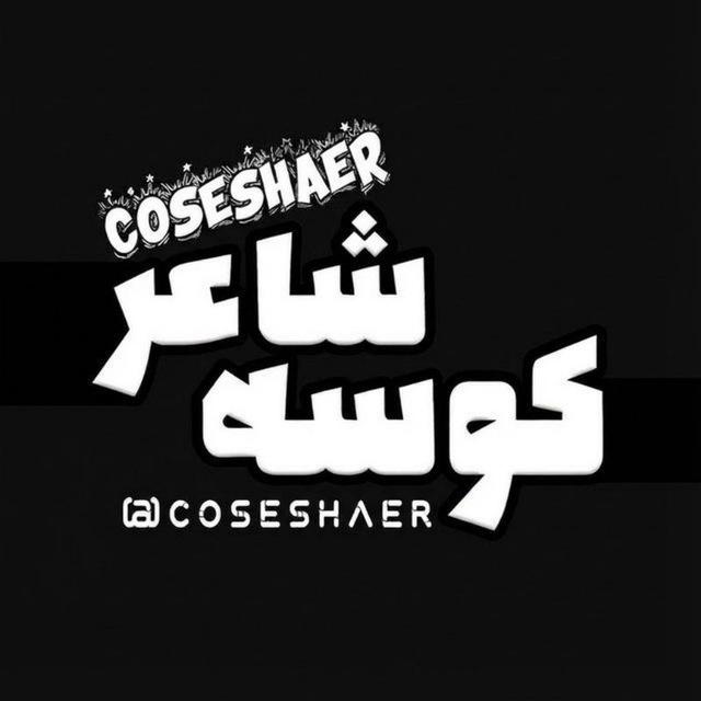 کوسه ی شاعر 🦈