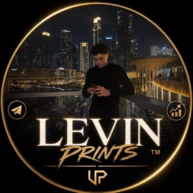 LEVIN PRINTS™ 🖨️