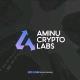 Aminu Crypto Labs