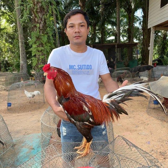 កសិដ្ធាន ហេងលី TV.97&GW