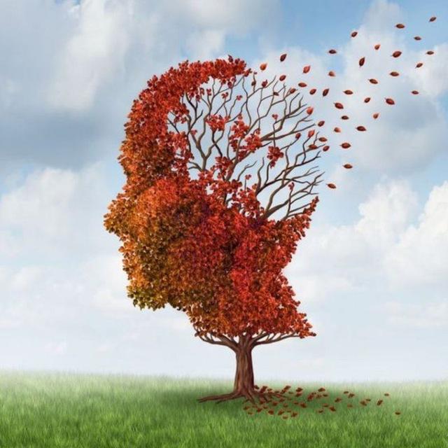 Понятно 🧠