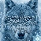 استوديو ⌯ VTR