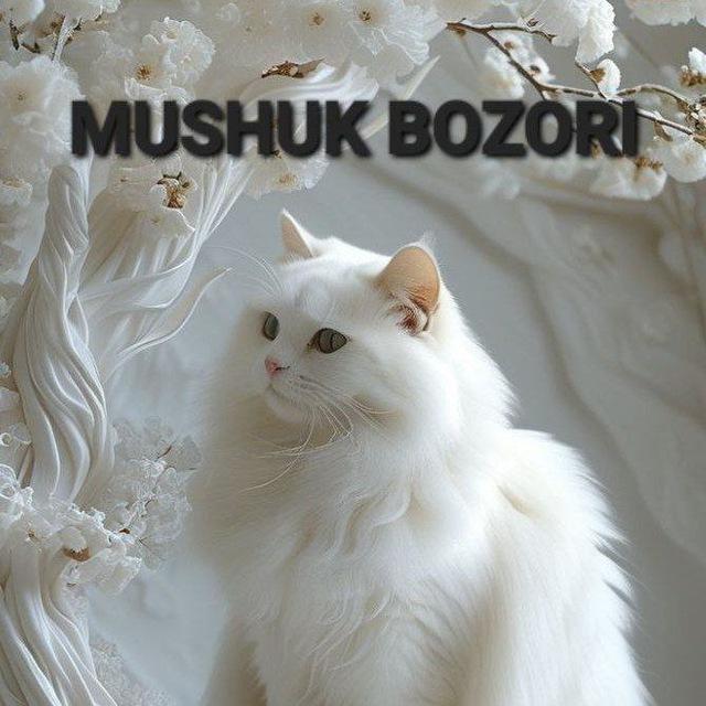 MUSHUK BOZORI