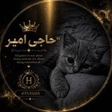 ارائه دهنده تمام خدمات مجازی 💹