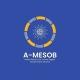 Addis MESOB - One Center Digital Government Service