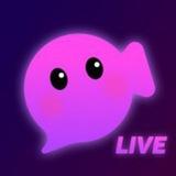 Halo live