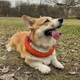 🧡Сигнал Примирения🧡