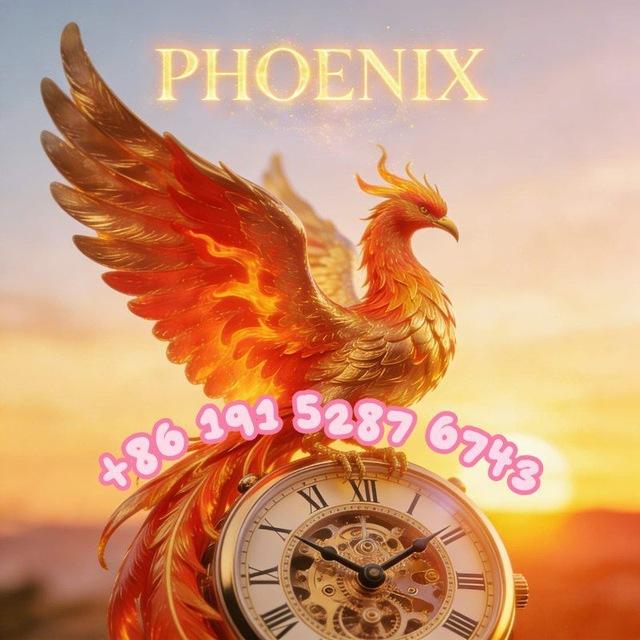 Phoenix Watch