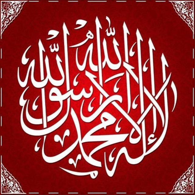 مستودع المخطوطات الحديثية Pdf