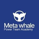POWER TEAM ACADEMY