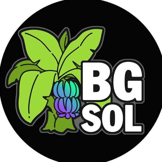 BANANA SOL Deployer