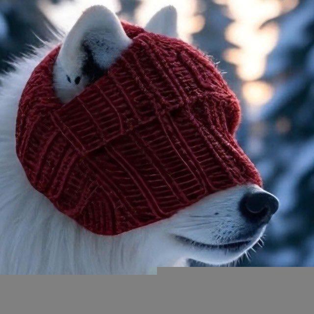 WhiteWolfWifHat