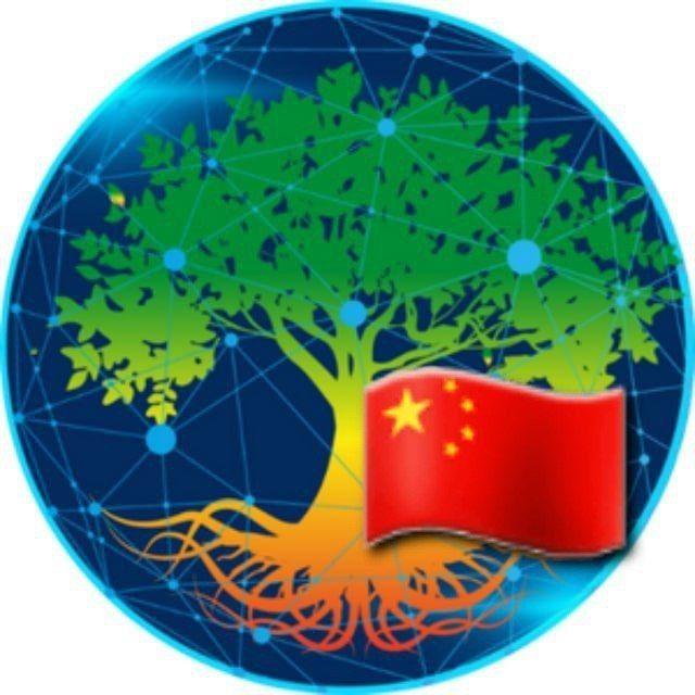Grove token中文社区🇨🇳🇨🇳
