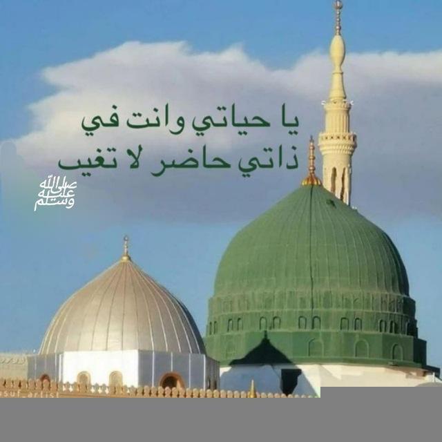 شمس الأمة ﷺ💚🕊️