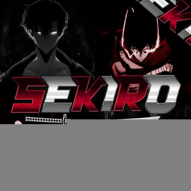 Seekiro_yt